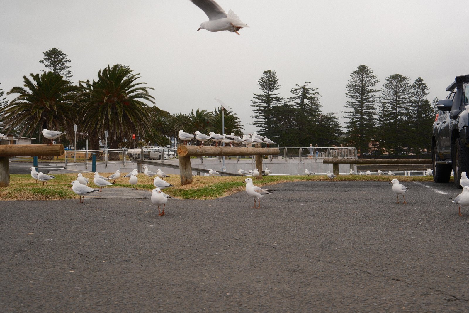 Coastal Scene 004